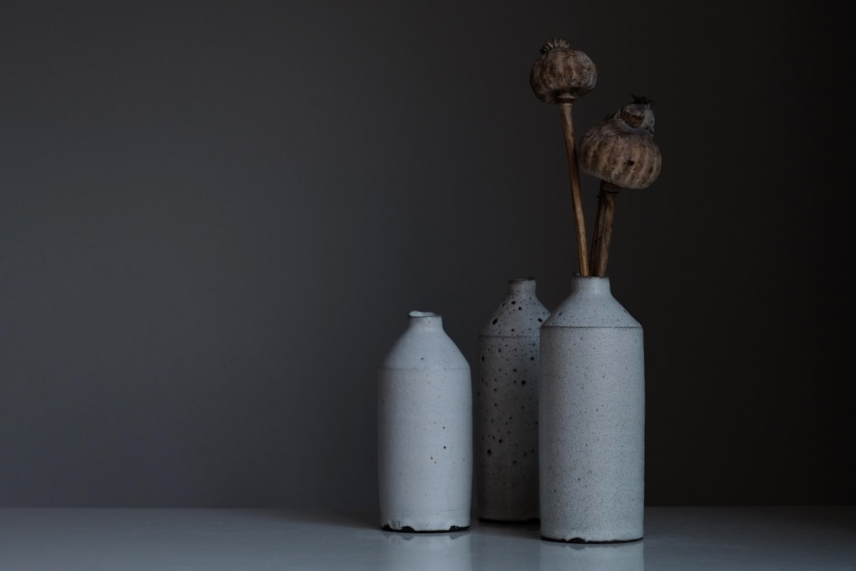 Arcilla natural — material base del filtro